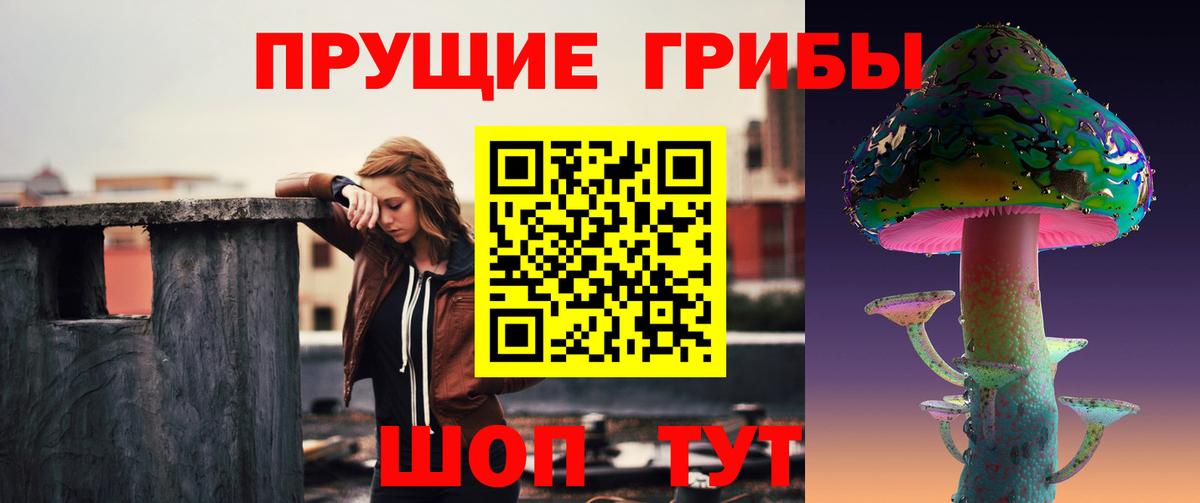 Ленинск-Кузнецкий  Галлюциногенные грибы GOLDEN TEACHER  Галлюциногенные грибы ЛСД  купить   Вход с VPN 